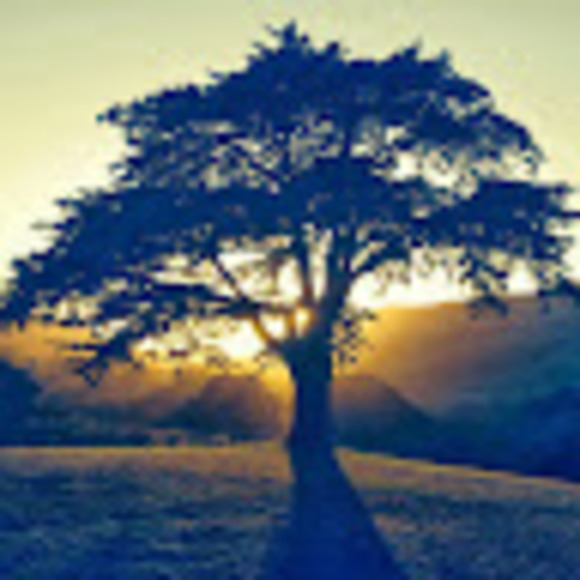 jonathan_rossi
